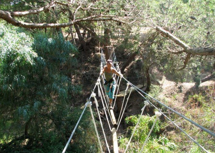 High Ropes Trail