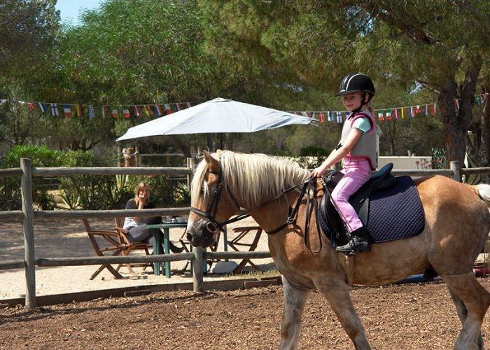 Horse Riding for Young Riders - Équitation